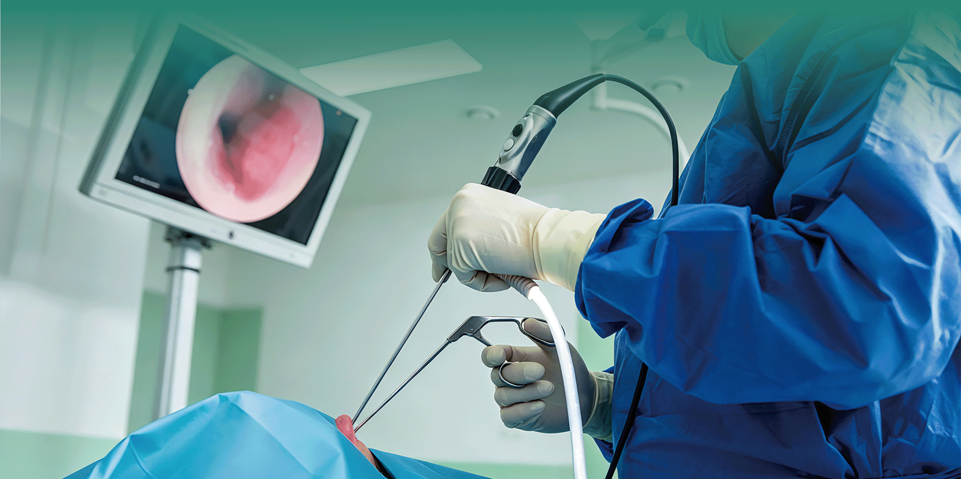 Endoscopy System